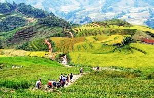 Sapa 3 Days 2 Nights Itinerary: The Perfect Travel Guide for First-Time Visitors