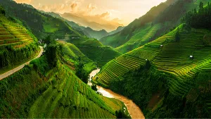 Top 15 Things to Do in Sapa for an Unforgettable Adventure