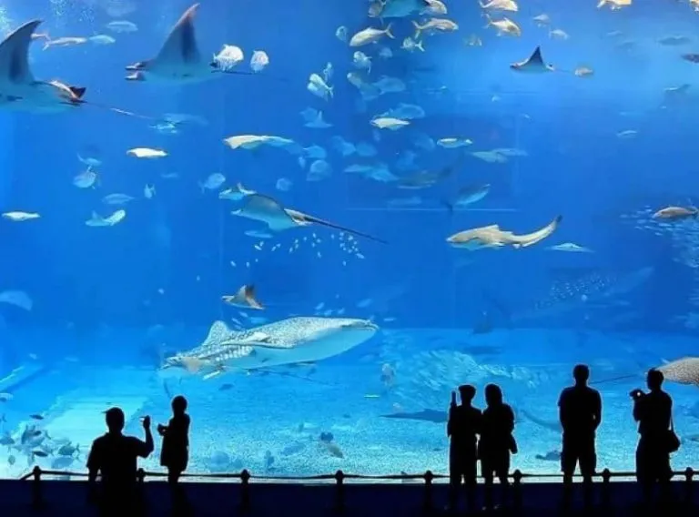 Nha Trang Oceanographic Institute – Explore Southeast Asia’s Largest Marine Research Museum