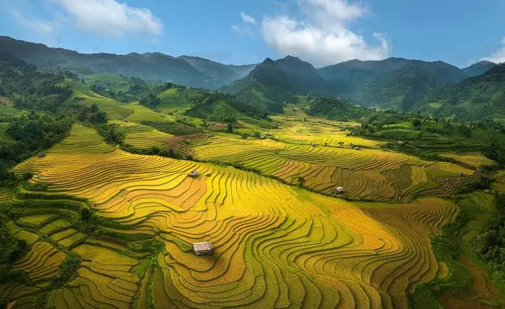 Must-Visit Attractions in Sapa: 12 Incredible Places You Can't Miss